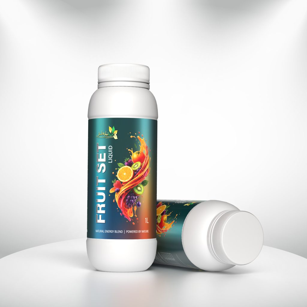 فروت ست مینا نهاده باختر