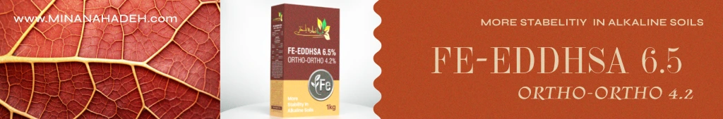 کلات آهن EDDHSA مینا نهاده اورتو 4.2